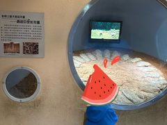 -河南自然博物馆