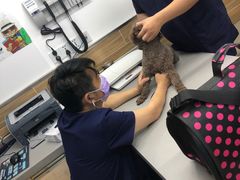 -爱侣宠医·鹦鹉专科·小型哺乳类·异宠专科(灵石路店)