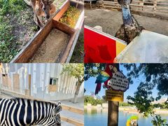 -水上乐园·欢乐世界