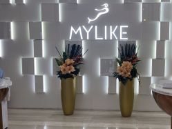 点击看大图 -深圳美莱医疗美容医院