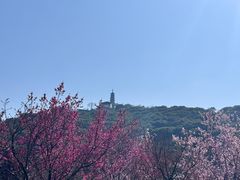 -苏州上方山国家森林公园