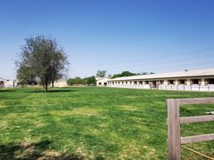 -北京群众马术培训基地