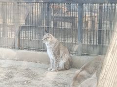 -石家庄市动物园