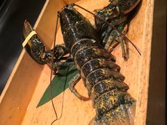 -Ginza Onodera铁板烧(外滩十八号店)