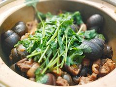 -食爺炭炉鸡煲·烧烤