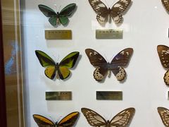 -上海昆虫博物馆