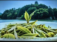 -岳阳市博物馆