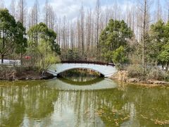 -东平国家森林公园