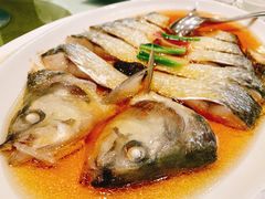 鲥鱼-金时代顺风大酒店(爱琴海购物中心店)