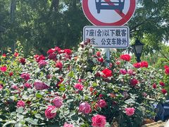 -南锣鼓巷