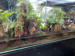 -厦门泰谷酒店(中山路镇海路地铁站店)