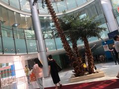 -小海豚国际游泳培训中心(浦东塘桥店)