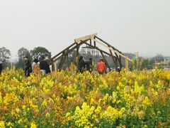 -三圣花乡旅游区