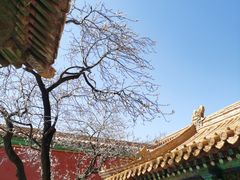 -故宫博物院(故宫)
