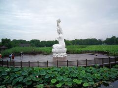 -荷塘月色湿地公园·向阳花洲