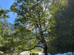-刘伯温故里景区百丈漈
