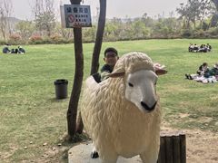 -南京银杏湖乐园