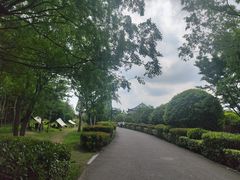 -朴园