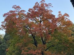 -香山公园