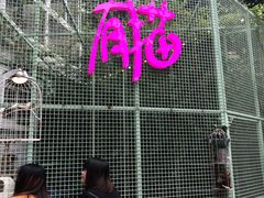 -有猫主题·治愈系猫咖(曾厝垵店)