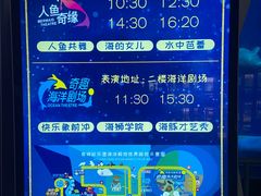 -泉城欧乐堡海洋极地世界