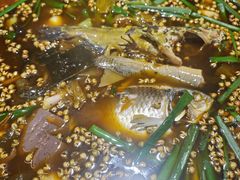 -满诗爷黄辣丁(金岛花园店)