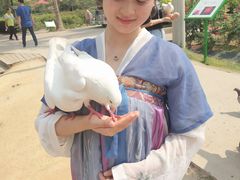 -亚龙湾国际玫瑰谷