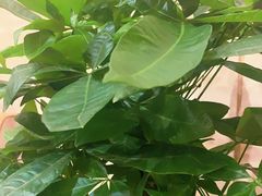 -湖北味道(湖北大厦店)