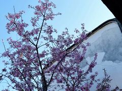 -乌山风景区