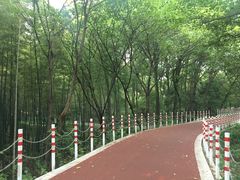 -紫金山天文台