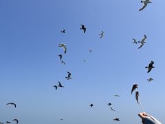 -海驴岛(荣成市)