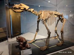 -北京周口店北京人遗址博物馆