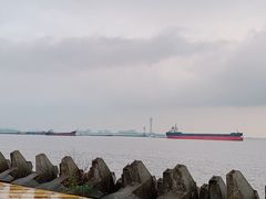 -上海滨江森林公园