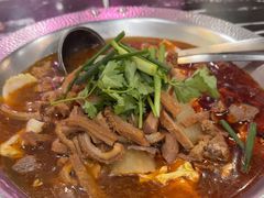 -古乐牛香·鲜牛肉牛杂火锅(高新店)