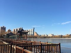 -莲花池公园