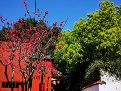 -乌山风景区