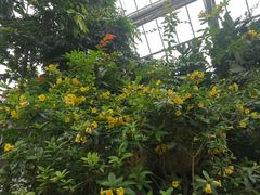 -南山植物园