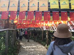 -帽儿山风景区