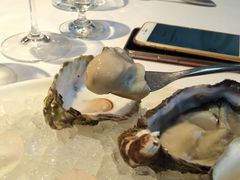 -Oyster Talks 四度蚝法餐厅