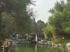 -中国唐苑