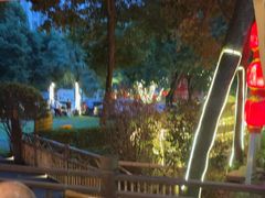 -二荆条·蜀鲜汇城市森林火锅