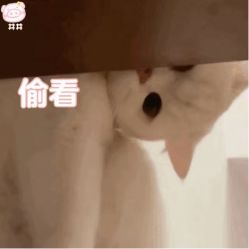 -茜尔维亚修身连锁(八佰伴店)