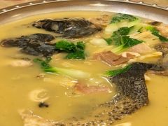 -丁老爷子苏香圆
