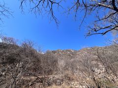 -大岭沟猕猴桃谷风景区