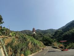 -深圳仙湖植物园-停车场