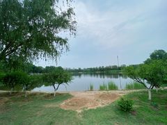 -永定河休闲森林公园