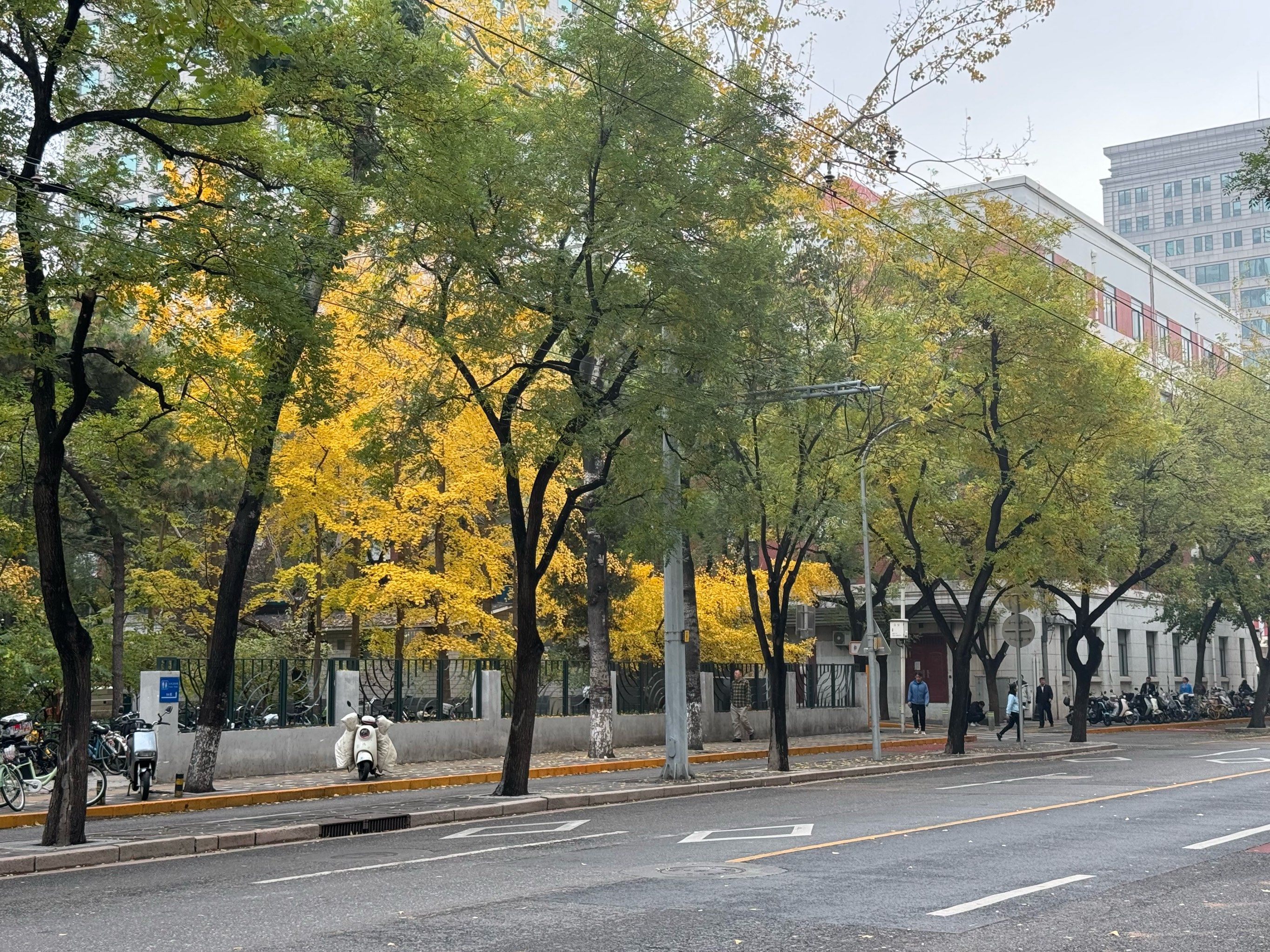 秋天的北京真的是最美的城市🌆