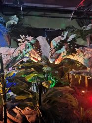 -恐龙探索乐园(磁器口店)