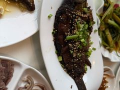 -高玛纳驴肉火烧(河间总店)