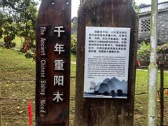 -蔡家宅